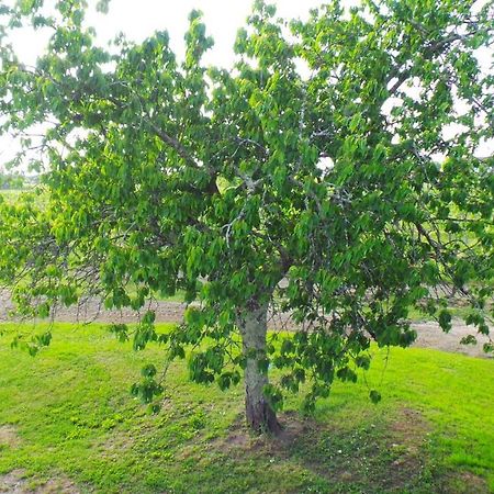 Chambre D'Hotes Le Paon Blanc Monprimblanc Екстер'єр фото
